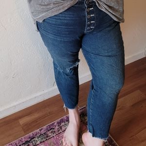 Torrid 18 short jeans